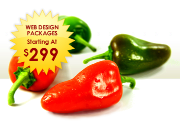 Ainspect.com Offers New Hot Web Design Packages Starting at $299!