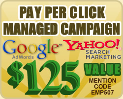 Managed Pay Per Click Campaign - $125 Value